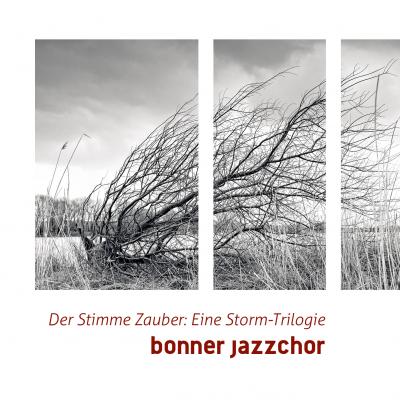 Drei geteiltes schwarz weiß Bild eines Baumes ohne Blätter in einer nordischer Landschaft gebeugt durch eine Windböe