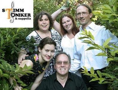 Stimmtoniker_Logo_LIO_500x380.jpg